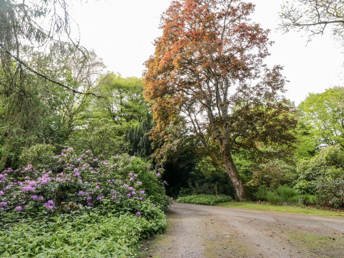 Maisie'S Cottage 邓布兰 外观 照片